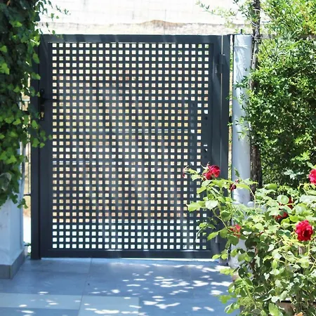 Orange Garden